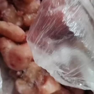 鸡腰子