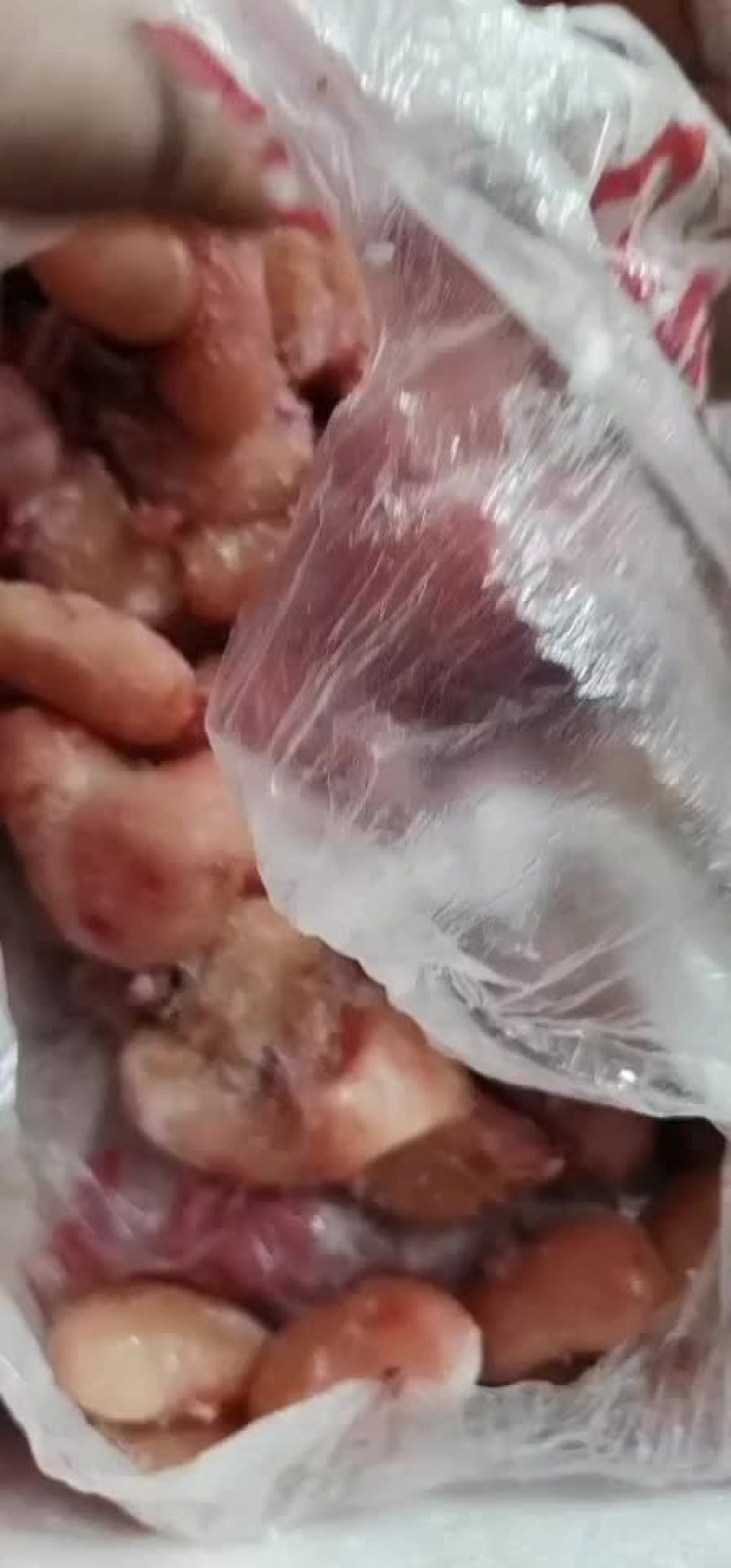 鸡腰子