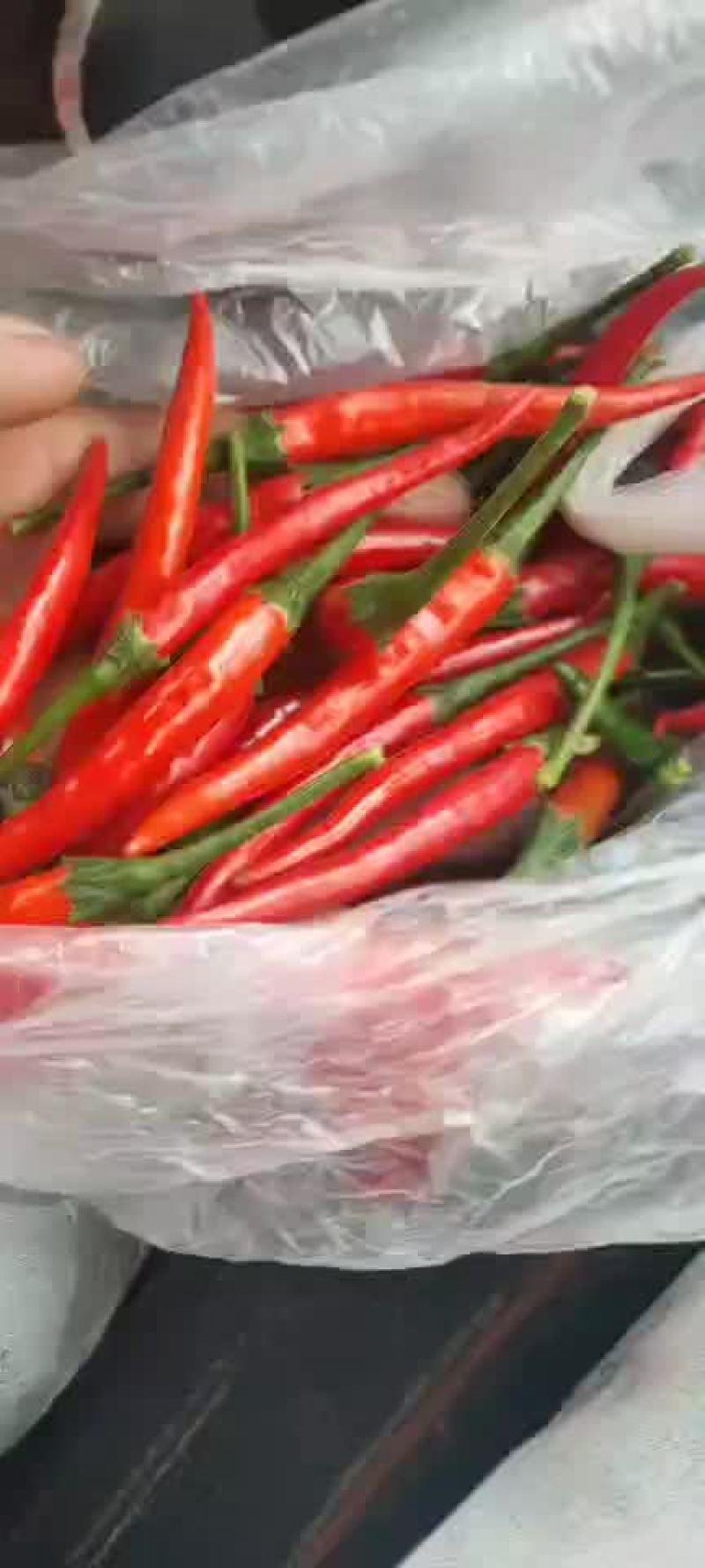 艳红辣椒
