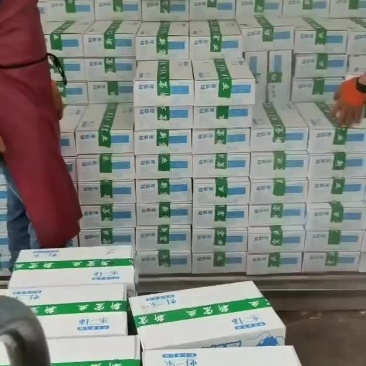 洪湖诱惑龙虾尾