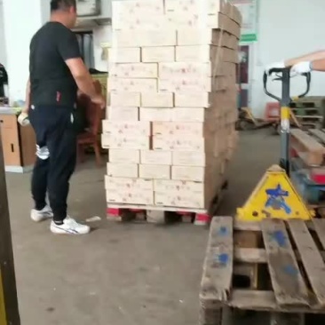 五斤下料特A龙虾尾