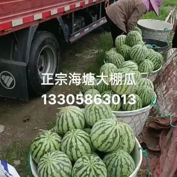 水果