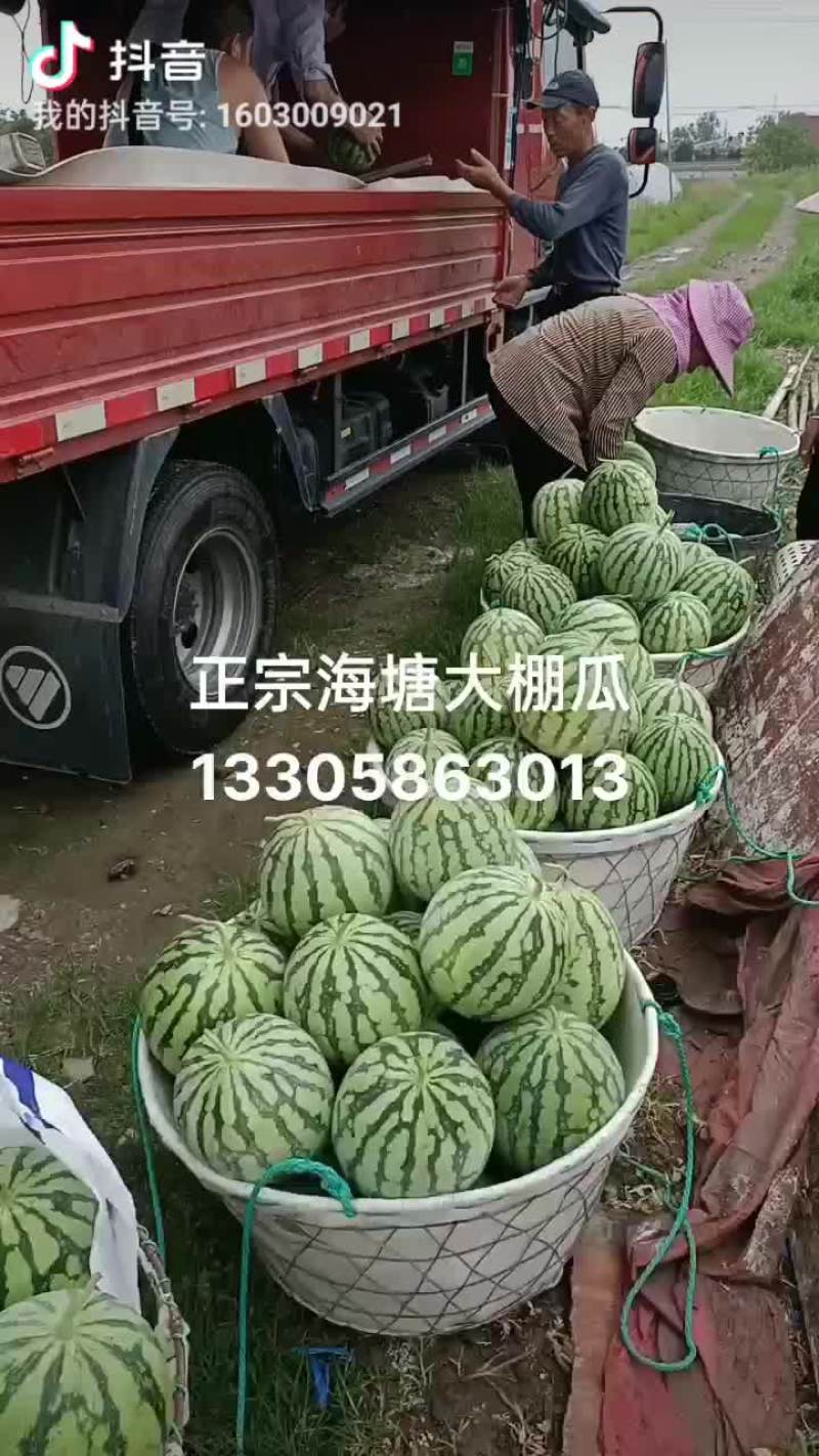 水果
