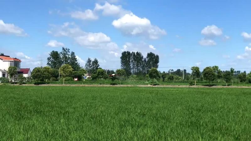 全国无人机上门飞防打药
