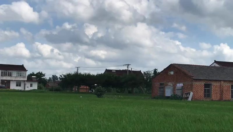 全国无人机上门飞防打药