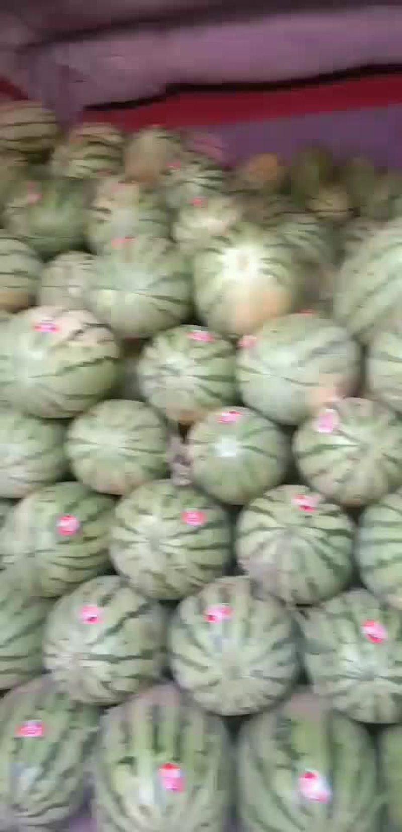 西瓜