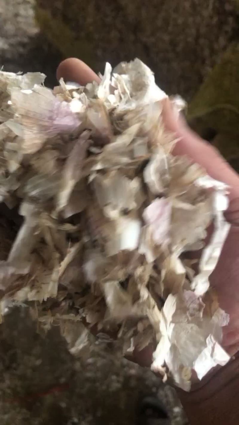 大蒜皮、烘干小蒜皮、蒜皮颗粒