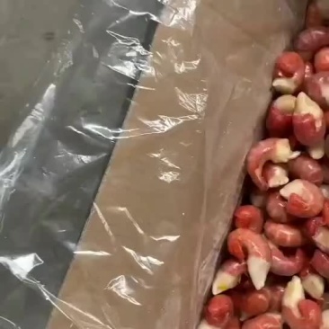 五斤下料龙虾尾