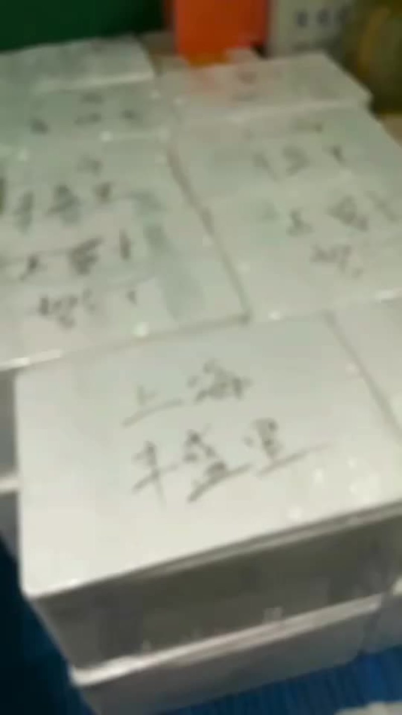 活鳗鱼销售有需要的老板请联系