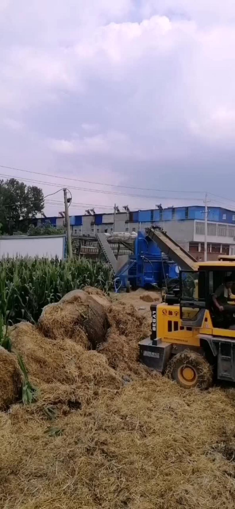 精品压块麦秸