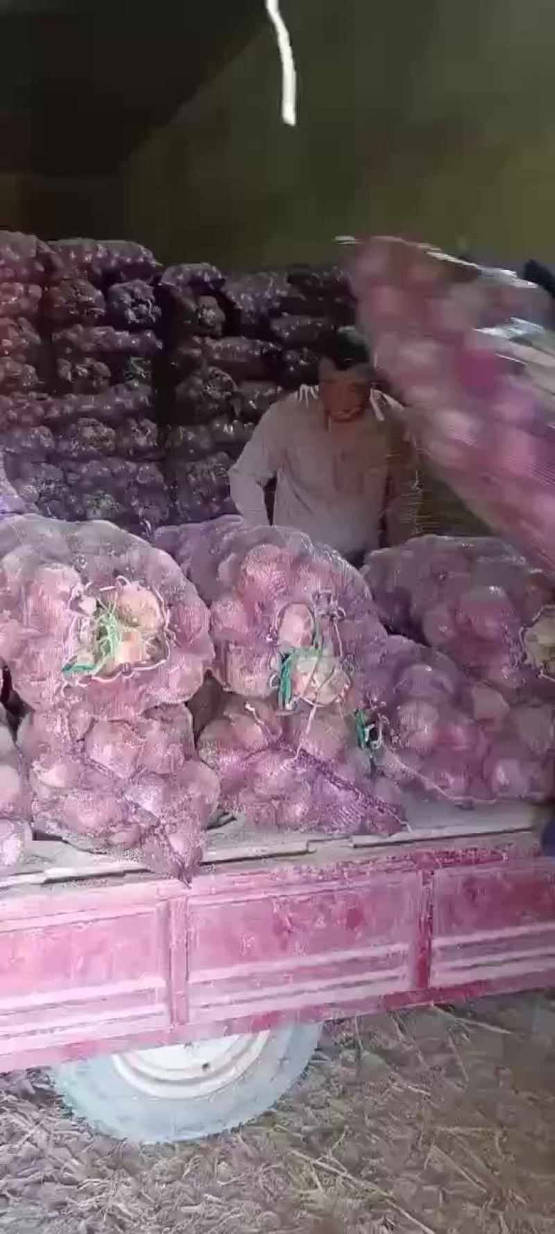 精品库存洋葱大量有货，需要的老板联系