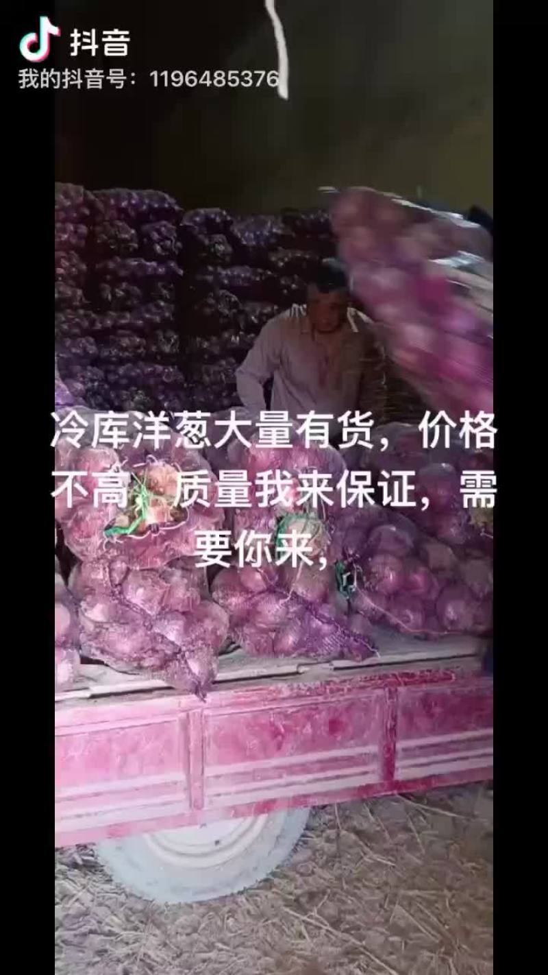 精品库存洋葱大量有货，需要的老板联系