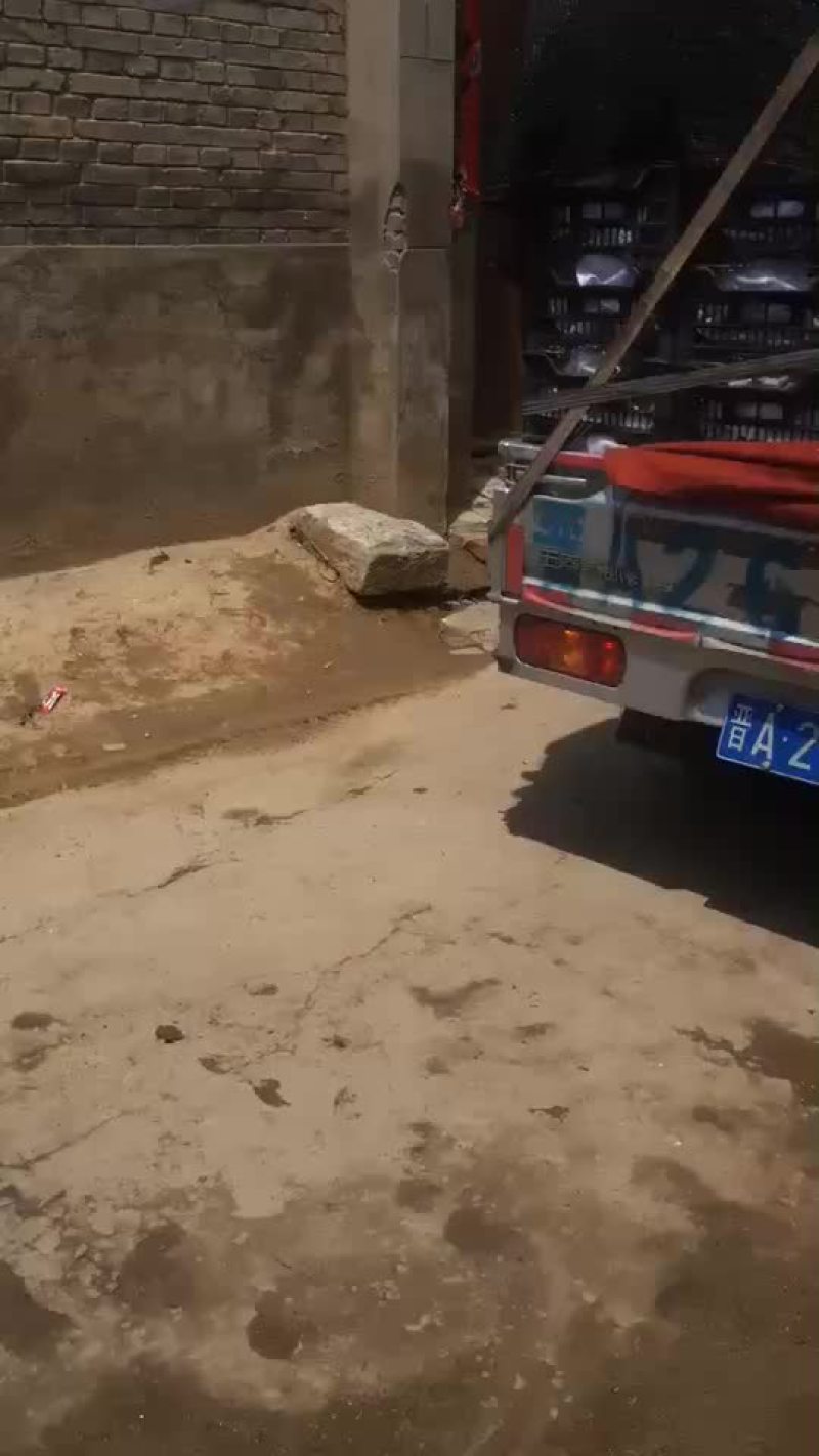 巨峰葡萄葡萄胡太八号软枝巨峰甜葡萄山西巨峰