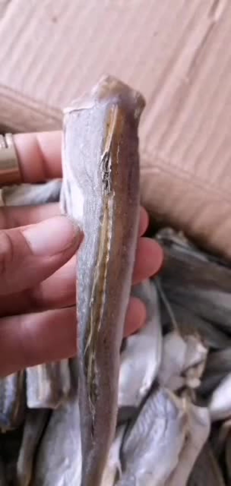 红头鱼，加工去头，去皮的，质量保证，有要货的老板前来咨询