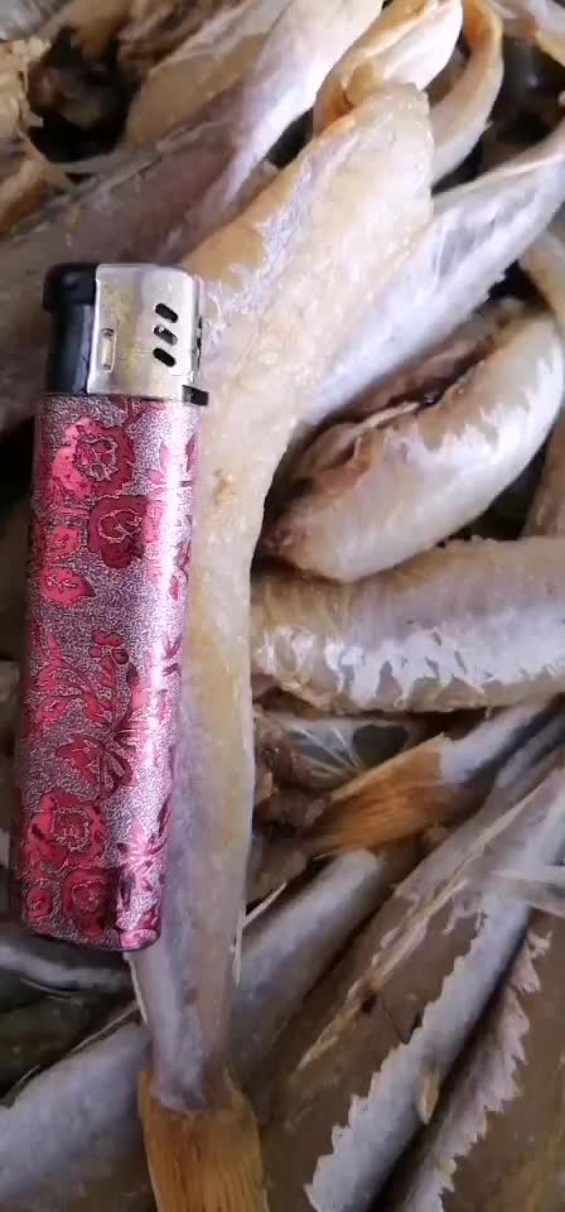 红头鱼，加工去头，去皮的，质量保证，有要货的老板前来咨询