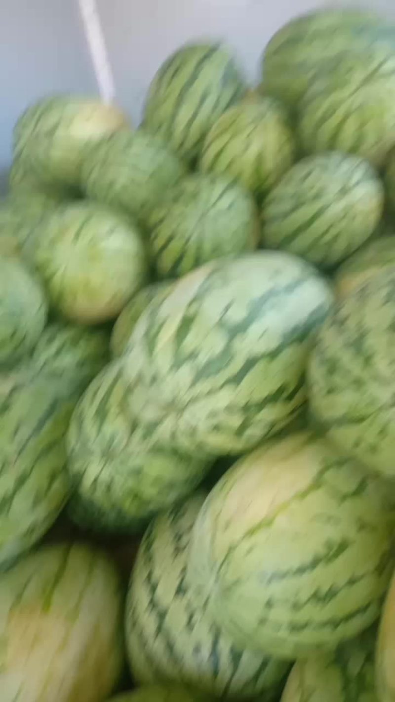 宁夏西沙西瓜