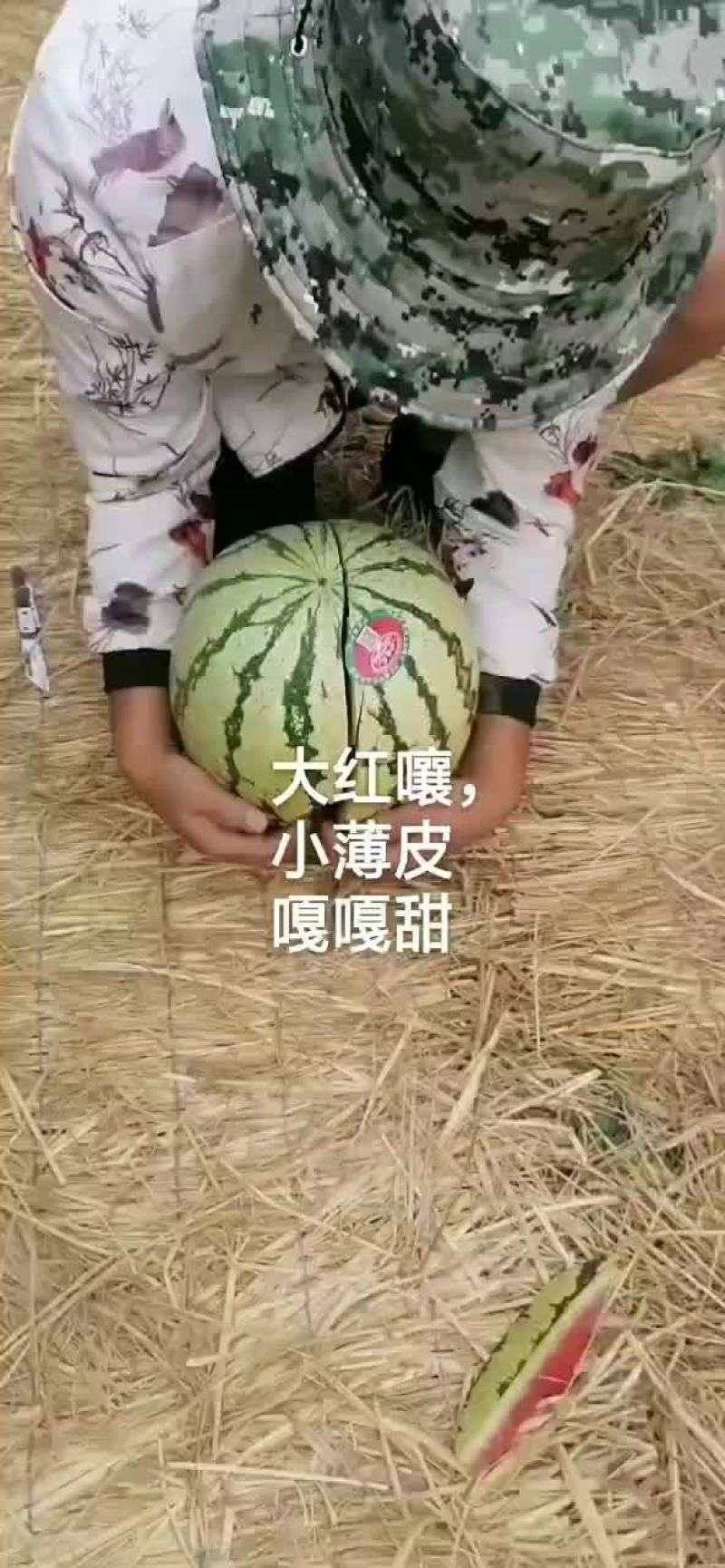 宁夏中卫香山硒砂瓜金华一号