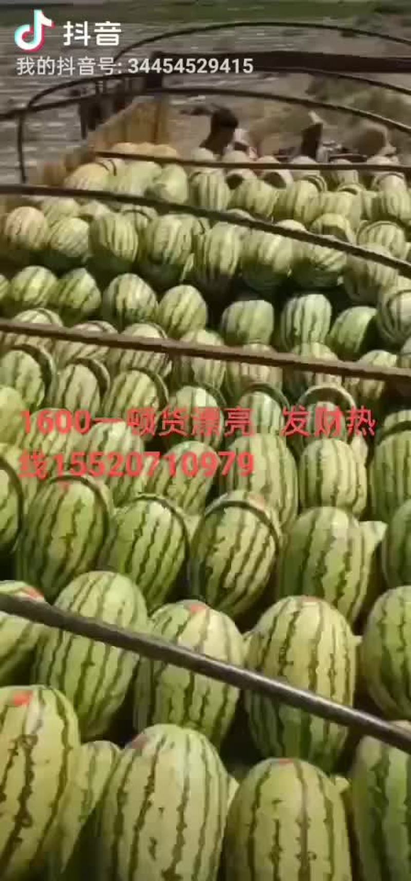 西瓜