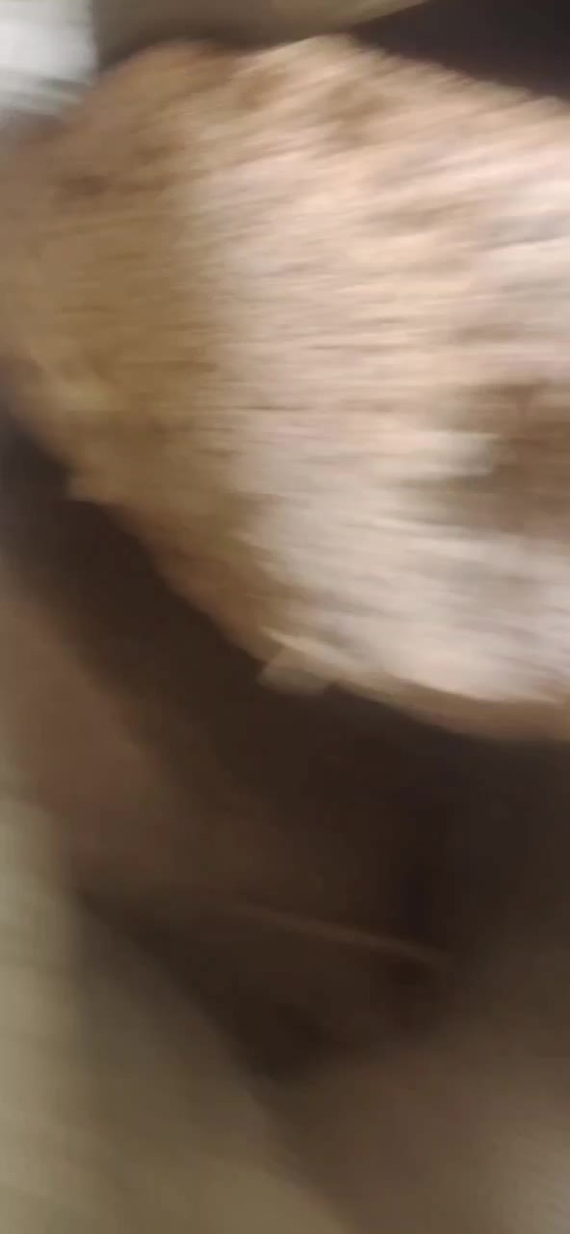 茅台镇酱香型高温大曲