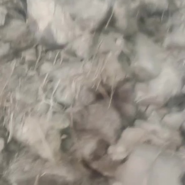 茅台镇酱香型高温大曲