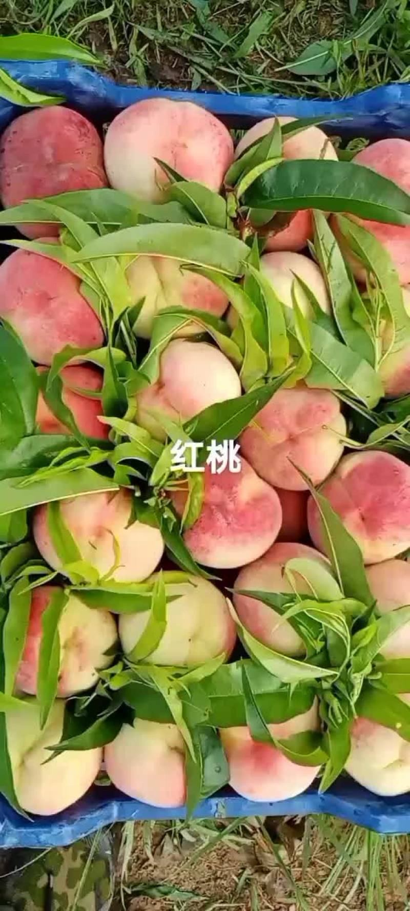 大红桃大量有货，货源充足，颜色比视频的好，有需要的来