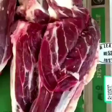 新西兰板冻牛腱子