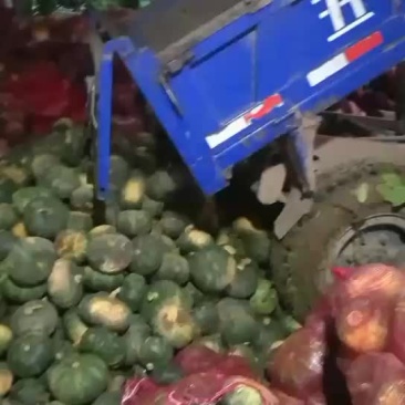 板栗南瓜