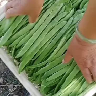 张北精品