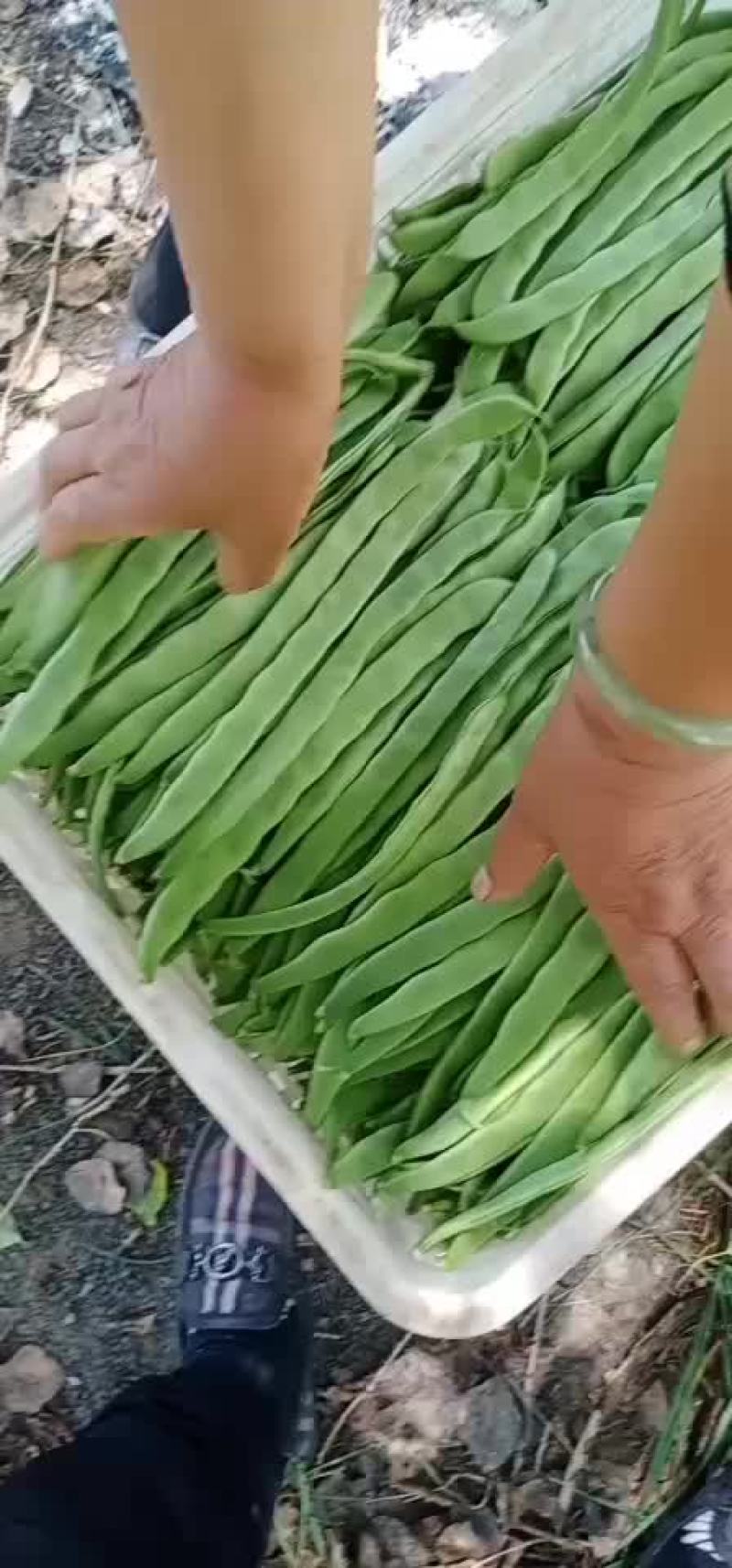 张北精品