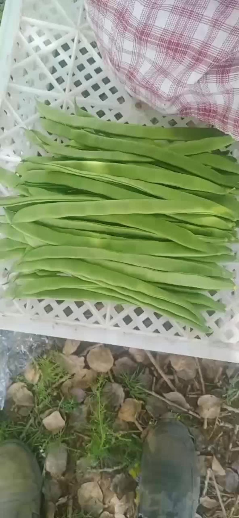 张北精品