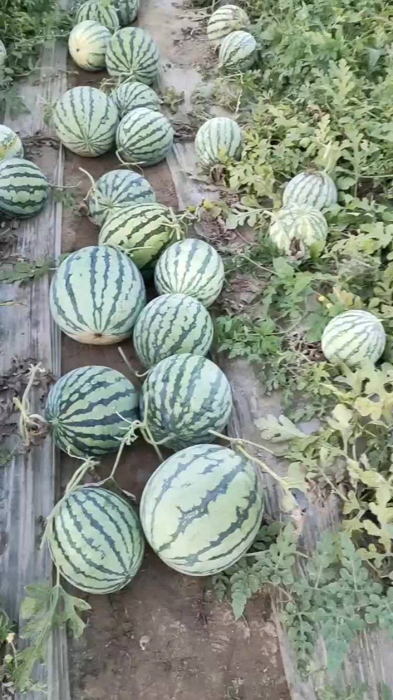 自产自销
