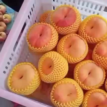黄金蟠桃