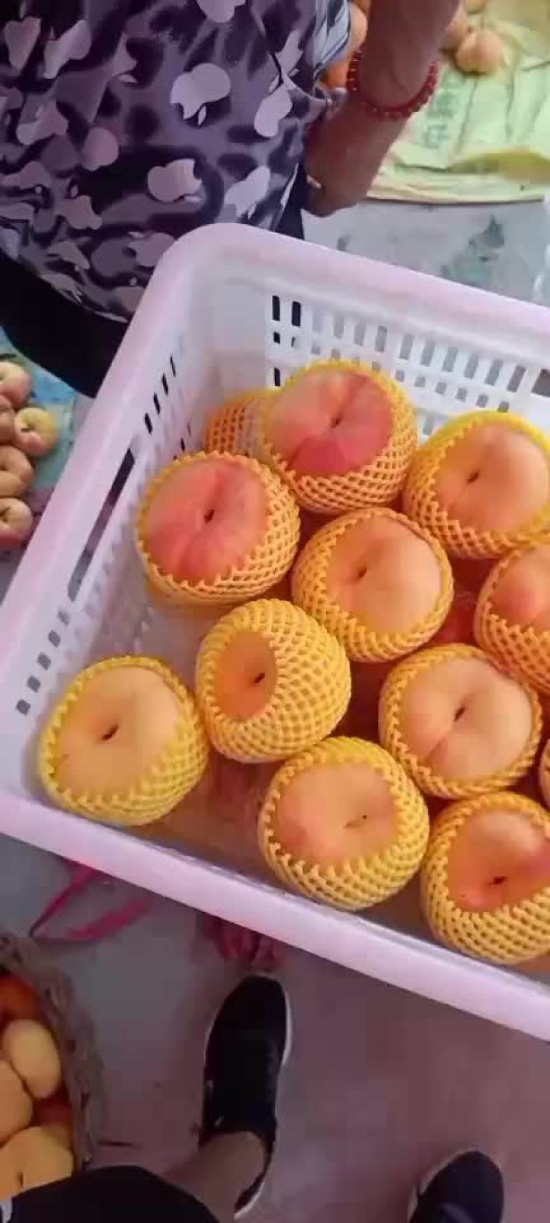 黄金蟠桃