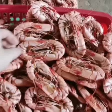 烤虾，九节虾