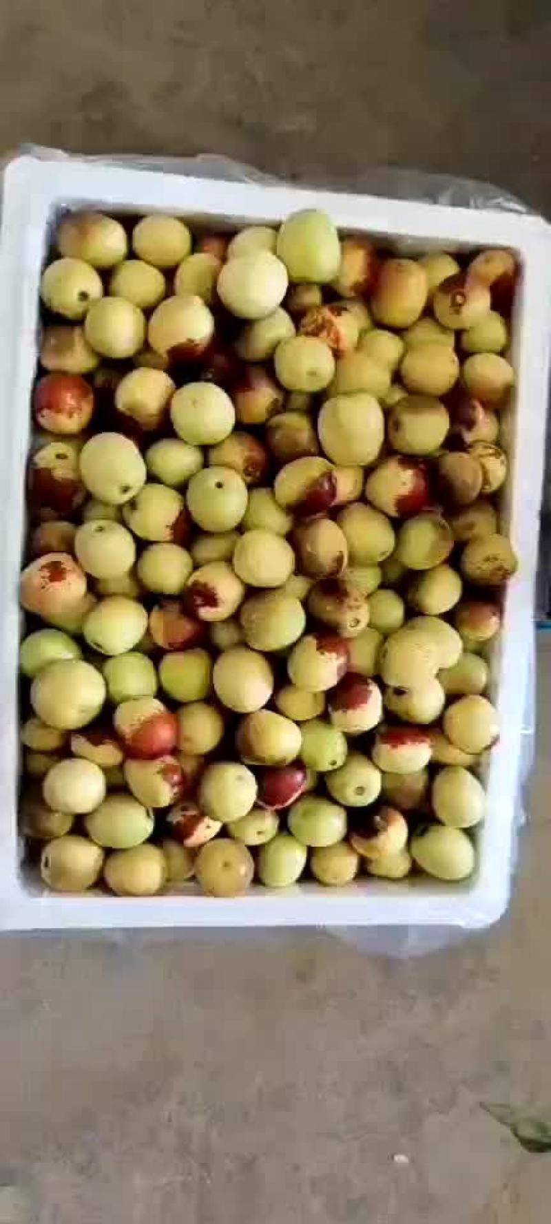 大荔冬枣