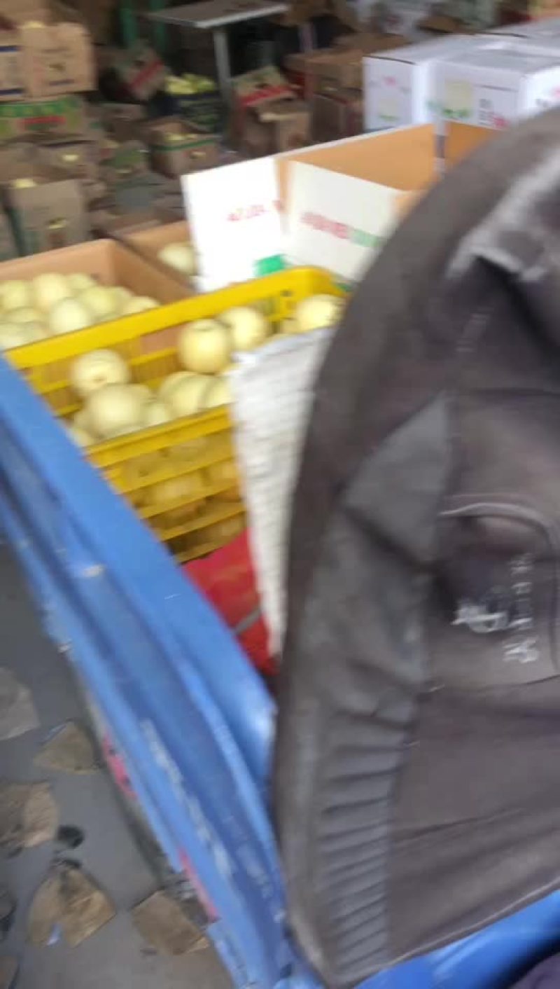 河北辛集皇冠二级梨大量现货需要的老板联系我