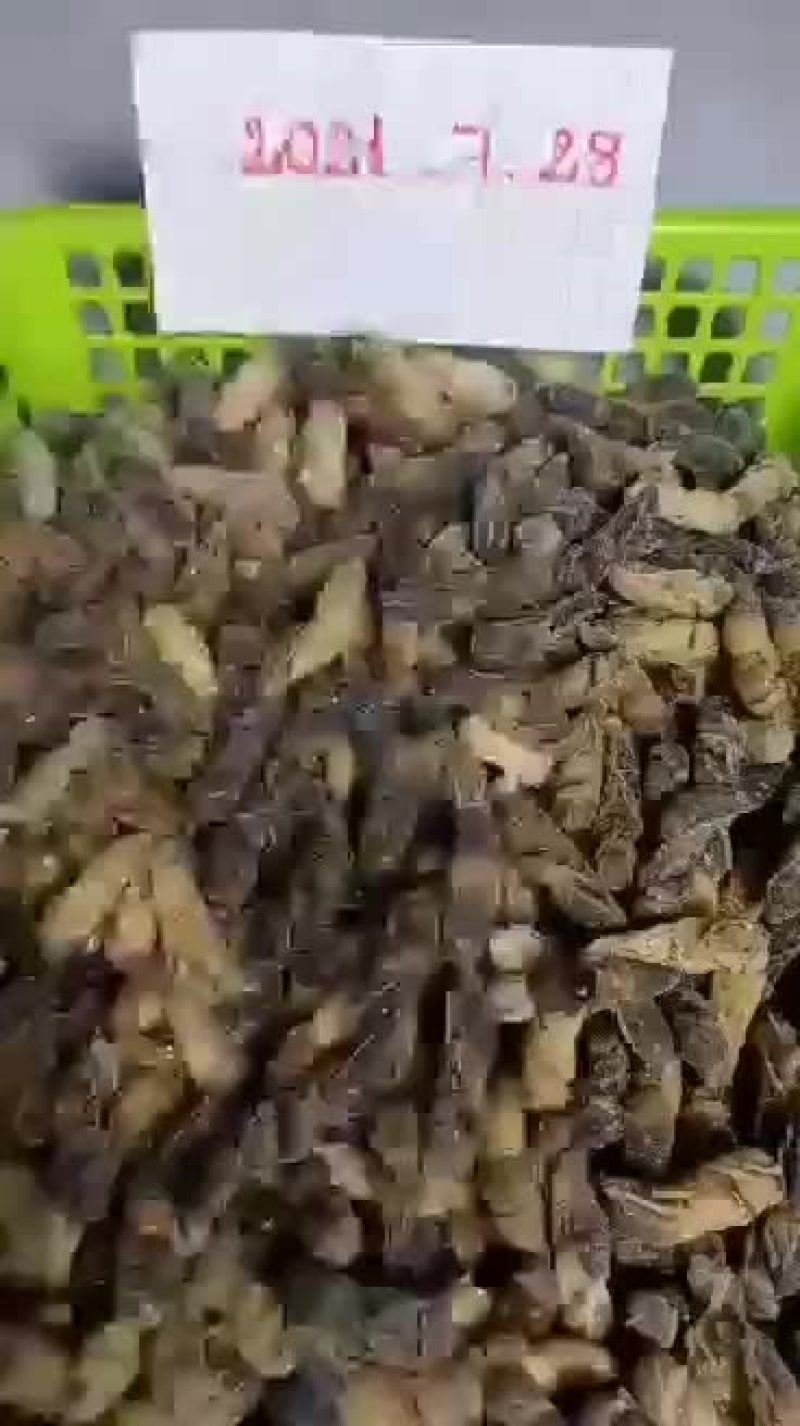 蜂蛹