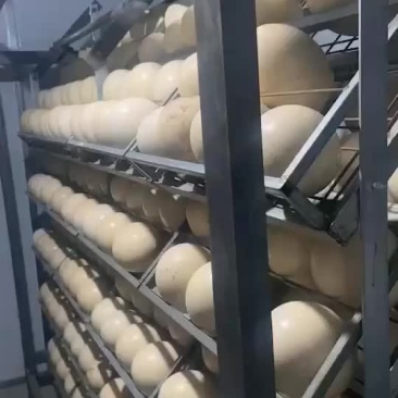 优质鸵鸟蛋，营养价值证高，个大美味。