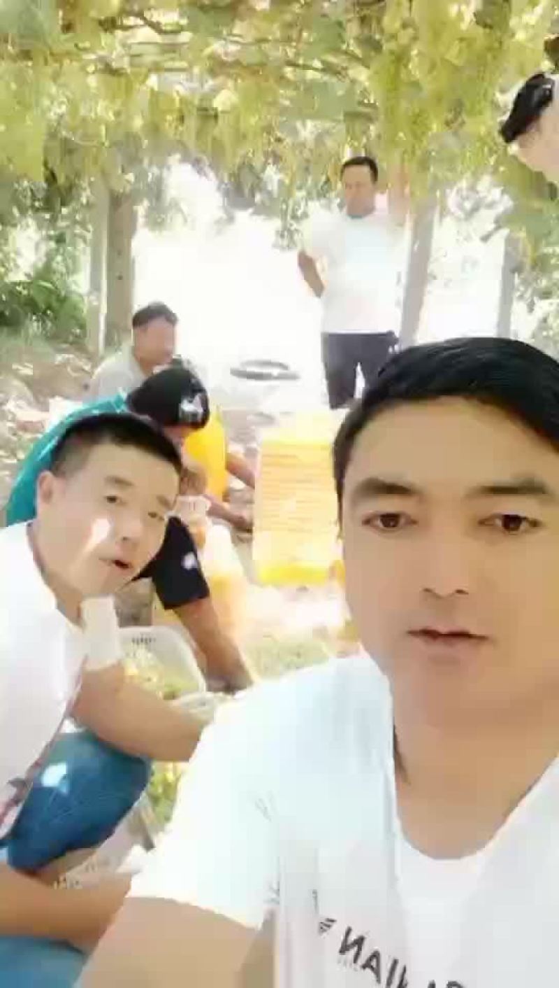 新疆吐鲁番葡萄产地直接发货