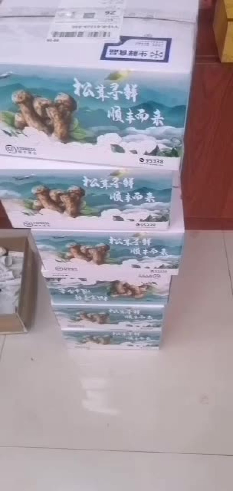 云南省丽江市新鲜松茸一手货源产地直发