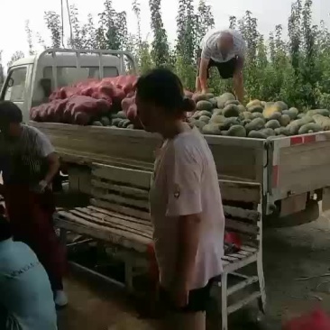 板栗南瓜