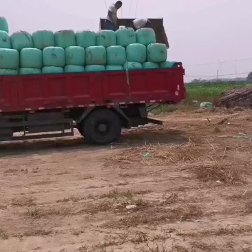 牛羊草料