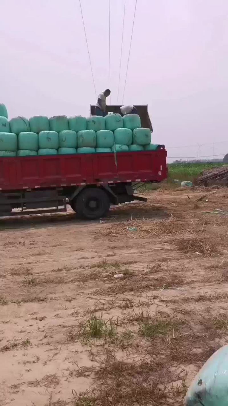 牛羊草料