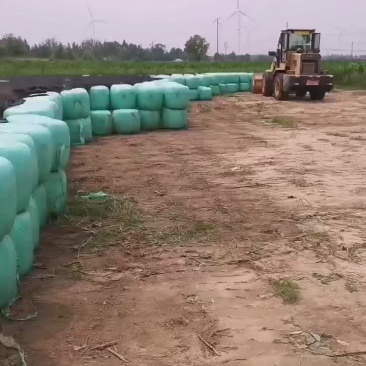 牛羊草料