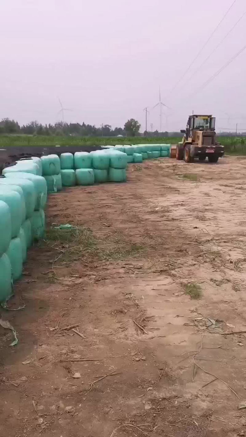 牛羊草料