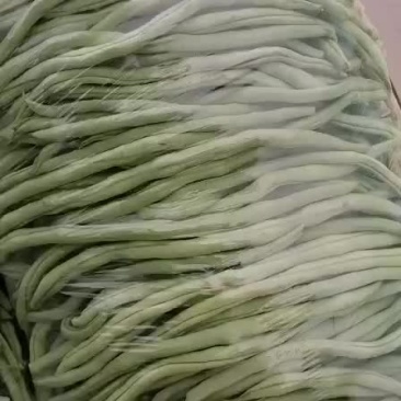 架豆王豆角