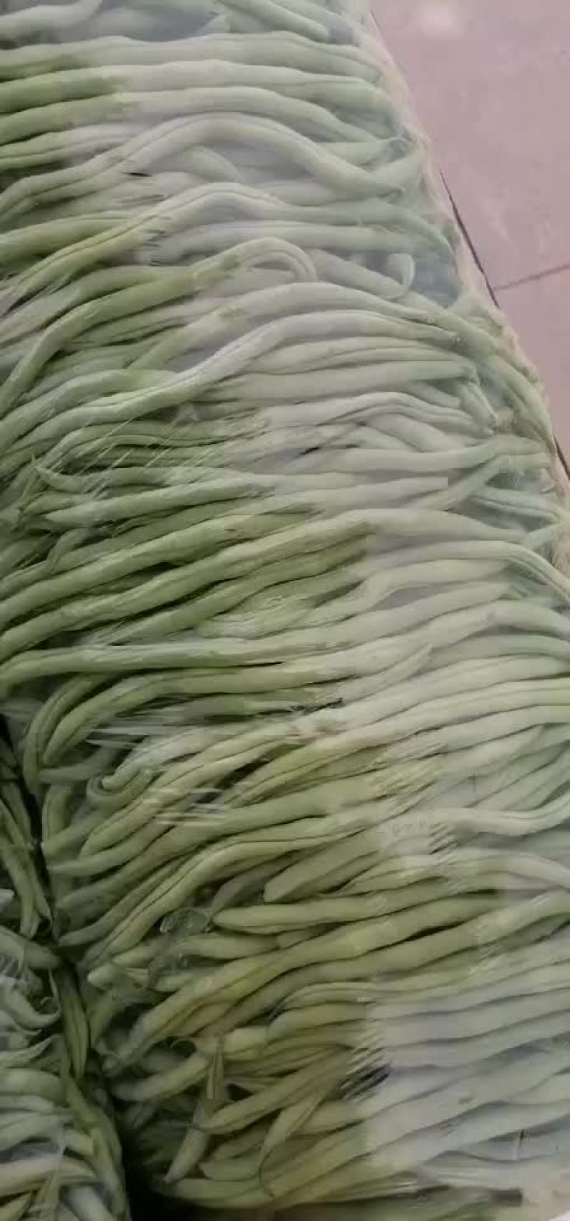 架豆王豆角