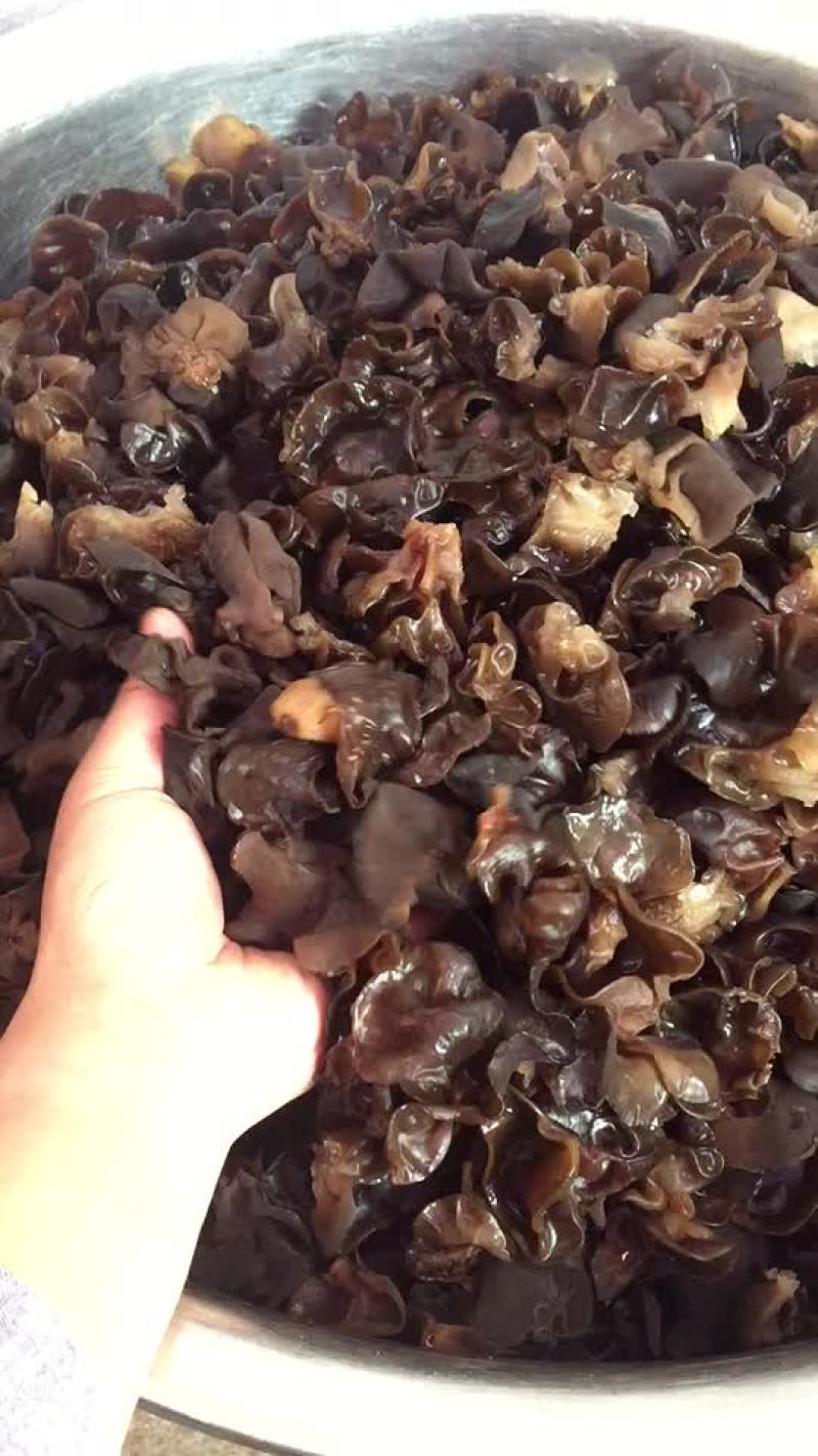 柞水黑木耳，国家地理标志产品，泡发率可达15。