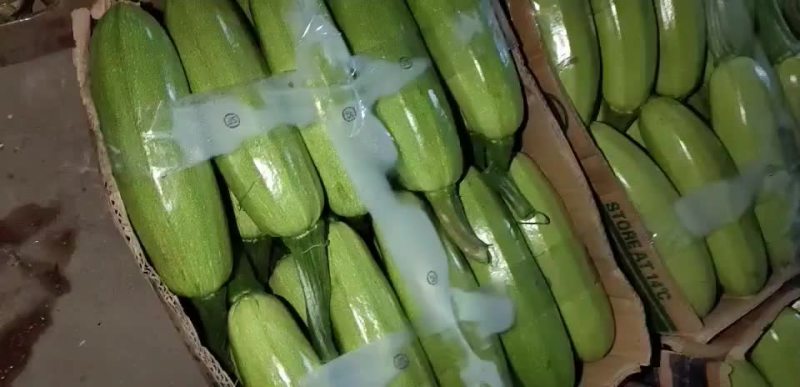 精品绿皮西葫芦
