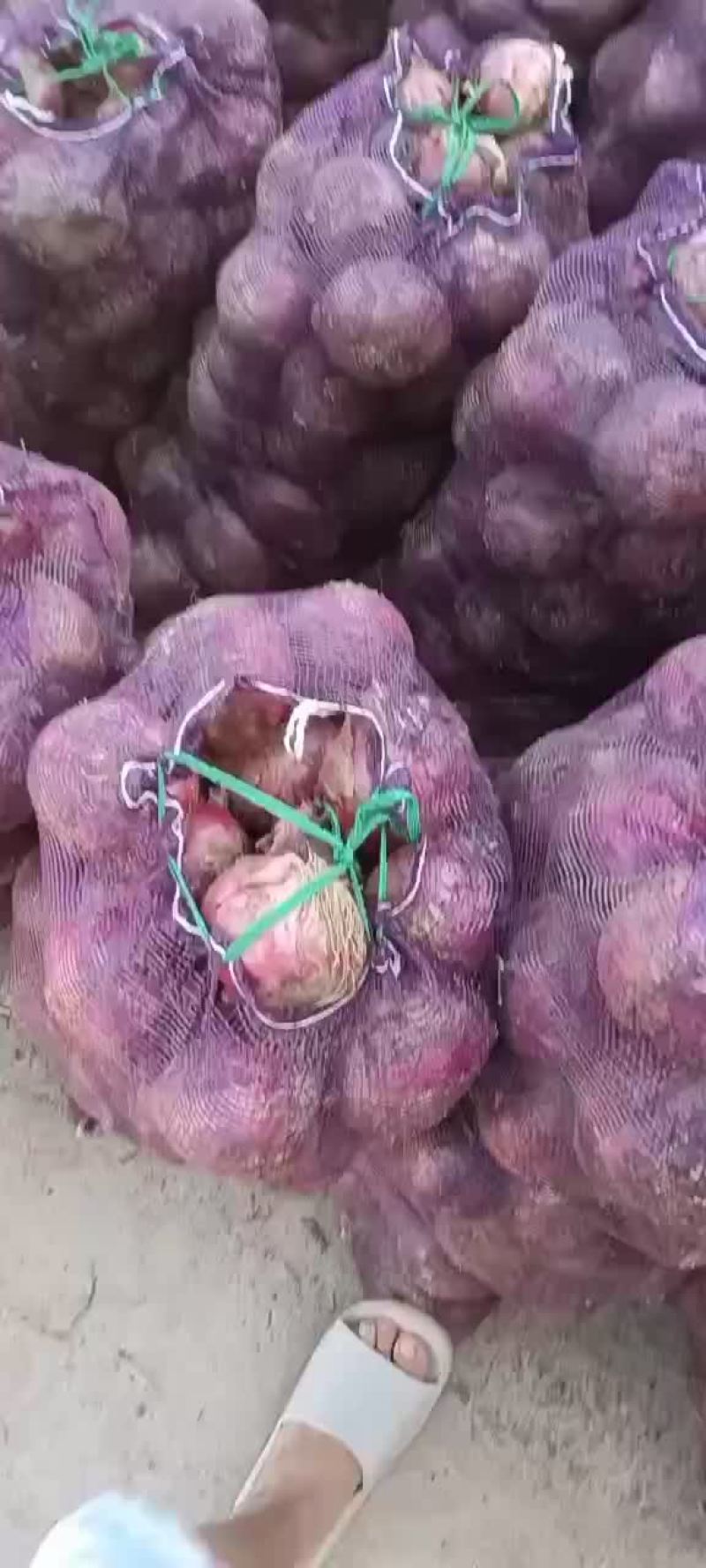精品库存洋葱大量有货，需要的联系